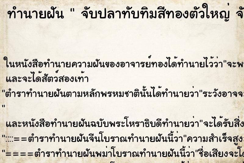 ทำนายฝันทำนายฝันจับปลาทับทิมสีทองตัวใหญ่จับปลาทับทิมสีทองตัวใหญ่